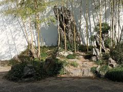 -上海醉白池公园