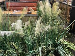 -符离集餐厅(万象城店)