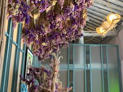 -喵屿·大理花园猫咖