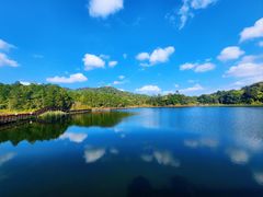-海南热带雨林国家公园吊罗山景区