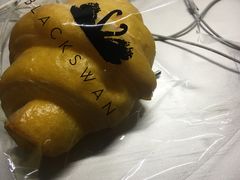 -BLACKSWAN黑天鹅(环球店)