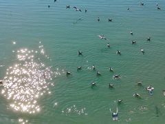 -昆明冠生园·蛋糕·面包(南强街店)