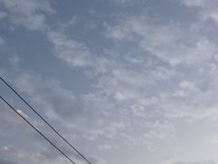 -金枫锅贴(滨江·凯旋门店)