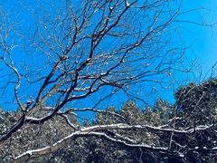 -北京西山国家森林公园