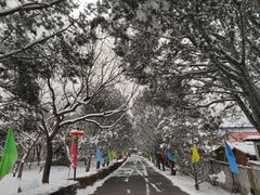 -长辛店二七公园