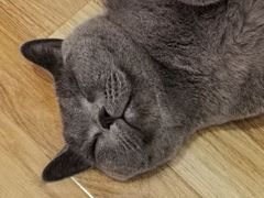 -壹人壹像工作室(购物公园店)