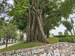 -深圳人才公园