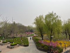 -大兴滨河森林公园