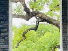 -江心屿景区