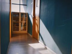 -Monkey Music小猴子现代音乐