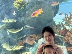 -福州罗源湾海洋世界旅游区