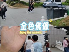 -庐山风景名胜区-东林大佛