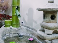 -白兔子密室(长寿路店)