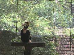 -吉隆坡雀鸟公园