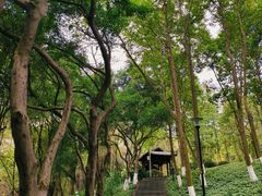 -龙头寺公园