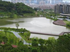 -飞凤山奥体公园