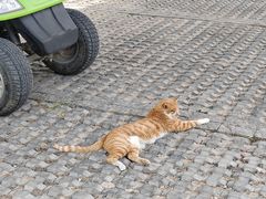 -汉长安城未央宫国家考古遗址公园