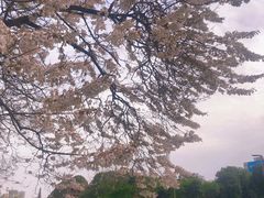 -红星桥(地铁站)