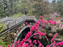 -杭州植物园