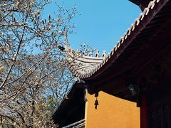 -灵谷景区