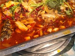 -重庆火锅水库鱼庄(南油店)