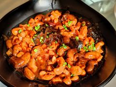 红烧鱼泡鱼籽-新名仕新白玉兰餐厅