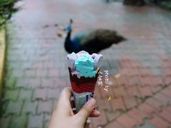 -吉隆坡雀鸟公园