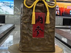 -张家界荷花国际机场