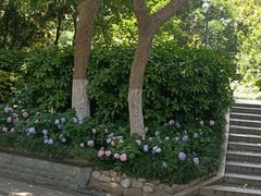 -常州古运河南大街文化旅游区-人民公园