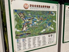 -野象谷景区