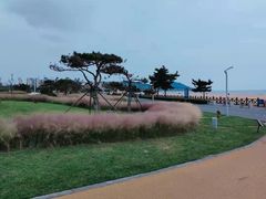 -日照海滨国家森林公园