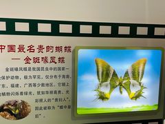 -上海昆虫博物馆