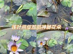 -凯威大酒店(海口秀英码头店)