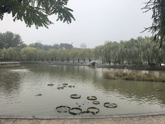 -中国农业博物馆
