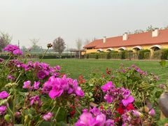 -意大利农场度假村