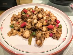 -双井轩(双井店)