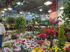-双季花艺园艺市场(浦东店)