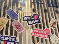-野萃山·潮汕厚果汁(十亩地店)