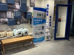 -伟伟宠物医院·CT影像中心·瑞派犬猫综合性门诊(汉口总院)