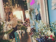大堂-Bubble Nini Chippendale