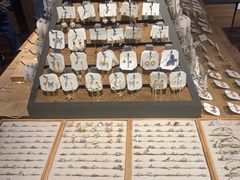 -酷乐潮玩(五道口购物中心店)