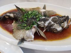 -河畔春天时尚餐厅