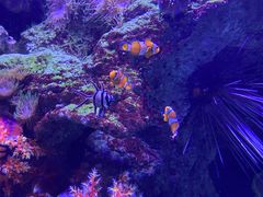 -成都浩海立方海洋公园