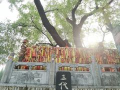-大槐树寻根祭祖园