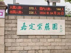-嘉定紫藤园