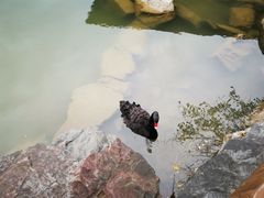 -上海怡沁园度假酒店