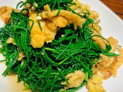 -沙力海美食城 西北特色菜 烤肉店(北门坡店)