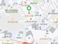 -洋马儿火锅(解放碑店)