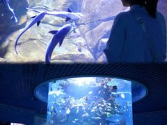 -多彩贵州城极地海洋世界