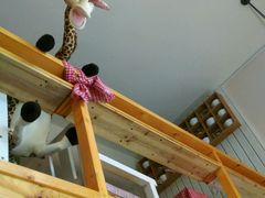 android_upload_pic-长颈鹿咖啡(大学路店)